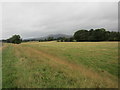 Grazing land by the River Forth near Cambus