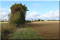 Public Footpath heading North towards High Easter