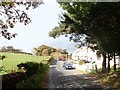 Houses on the east side of Cabra Road