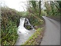 River Stor: Chantry Lane Waterfall