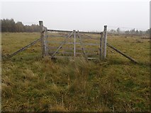 NC7413 : Gate in Enclosure Around New Forest at Bad an t-Sean-tighe by Chris and Meg Mellish