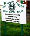 Coity Wallia Common notice, Canola near Sarn