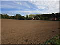 Cultivated field and houses at Rufford