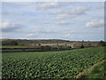 View towards the railway from Ollerton Hills