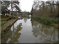 River Wey: At the Old Wey Bridge (1)