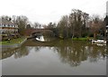 River Wey: At the Old Wey Bridge (2)