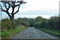 Road towards Lyminge and Etchinghill