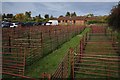 Sheep Pens