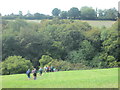 Group of ramblers heading for Asheridge Bottom