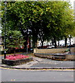 Bench near a floral display and exotic tree, Llanthewy Road, Newport