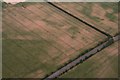 Crop marks on field at Well Turn: aerial 2018