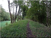 SO7843 : Trackbed of the former Malvern to Ashchurch railway by Philip Halling