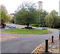 Tree on a grassy roundabout, Newport