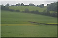 Sheepham Brook Valley