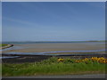 Low tide at Poll Gorm, Islay