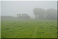 Footpath in the mist