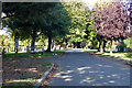 Road in Sutton Road Cemetery