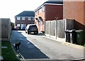 Black cat in Webber Close