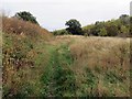 Bridleway to Begbroke