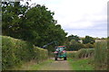 Hedge flailing on an Essex Way byway