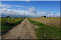 Field Road towards Crowle