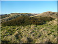 Old quarry spoil  heaps near Halkifax FP121