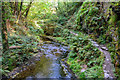 West Devon : River Lyd