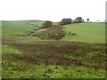 Slopes of Nether Boreland Hill