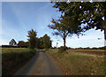 Penlan Hall Lane & Footpath