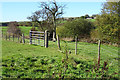 Grazing, Wardle