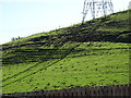 Hillside grazing of Calderbrook Road