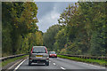 ST5117 : South Somerset : The A3088 by Lewis Clarke