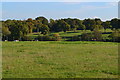 View across fields at Ossemsley