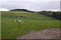 Hillside above Bonnington