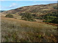 NR9526 : Burrican Hill by James Allan