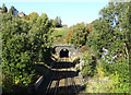 Winterbutlee Railway Tunnel, Walsden