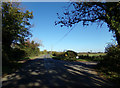 TM4094 : Raveningham Road, Maypole Green by Geographer