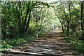 Path beside Rushington Business Park