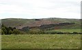 Looking north from near Burradon Mains