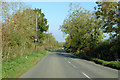 Road towards Moreton Pinkney