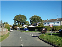 TM4198 : Beccles Road, Thurlton by Geographer