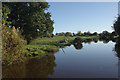 Llangollen Canal near Frankton Junction