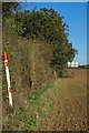 Field Margin and Station Bridge House