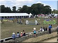ST8898 : Showjumping arena at Gatcombe Horse Trials by Jonathan Hutchins
