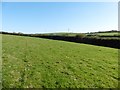 SS5242 : Fields, east of West Down by Roger Cornfoot