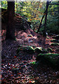 SK2579 : Steps in Yarncliff Wood by Andy Stephenson