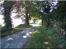 TM4098 : Church Road, Norton Subcourse by Geographer
