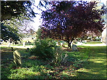 TM4098 : St. Mary & St. Margaret's Churchyard by Geographer