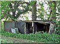 Derelict sheds at Lealands near Hellingly