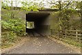 Moss Lane passing under the M61